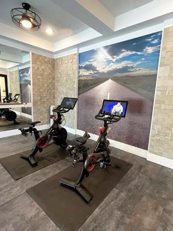 Professional “crossfit” style full service gym and peloton/yoga studio